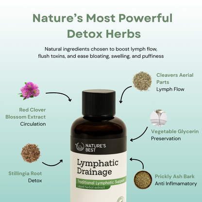 Lymphatic Drainage Support